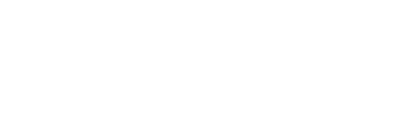 Vyzyr Studios
